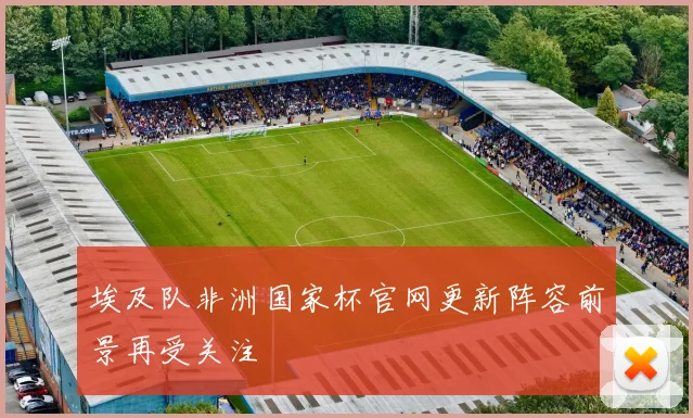 埃及队非洲国家杯官网更新阵容前景再受关注