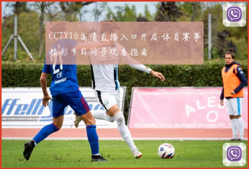 CCTV16高清直播入口开启 体育赛事精彩节目同步观看指南