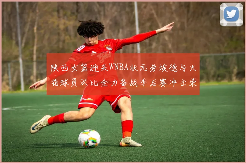陕西女篮迎来WNBA状元劳埃德与火花球员汉比全力备战季后赛冲击荣耀